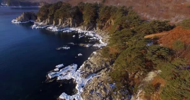 海の崖 急な岩の多い海岸線極東沿海地方の海洋保護区の空撮 — ストック動画