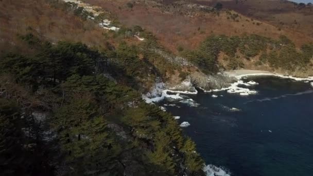 海洋悬崖 陡峭的岩石海岸线 远东海洋保护区在滨海区符拉迪沃斯托克边疆区的鸟瞰图 — 图库视频影像