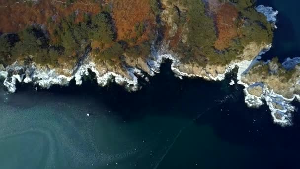 Widok Ocean Urwisko Strome Skaliste Wybrzeże Far Eastern Rezerwat Morski — Wideo stockowe