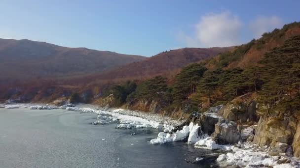 海洋悬崖 陡峭的岩石海岸线 远东海洋保护区在滨海区符拉迪沃斯托克边疆区的鸟瞰图 — 图库视频影像