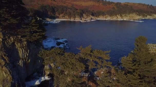 Luchtfoto Van Ocean Klif Steile Rotskust Far Eastern Zeereservaat Primorsky — Stockvideo