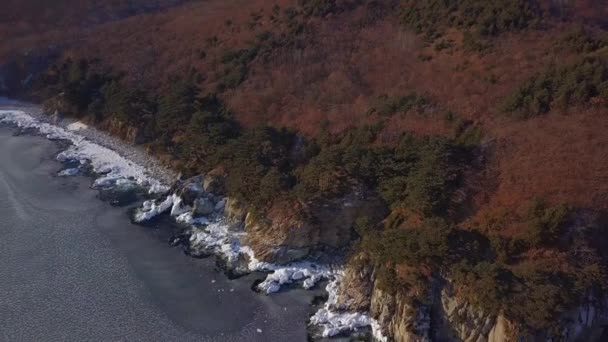 Luchtfoto Van Ocean Klif Steile Rotskust Far Eastern Zeereservaat Primorsky — Stockvideo