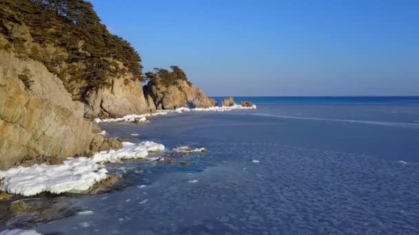 Luchtfoto Van Ocean Klif Steile Rotskust Far Eastern Zeereservaat Primorsky — Stockvideo