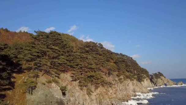 海の崖 急な岩の多い海岸線極東沿海地方の海洋保護区の空撮 — ストック動画