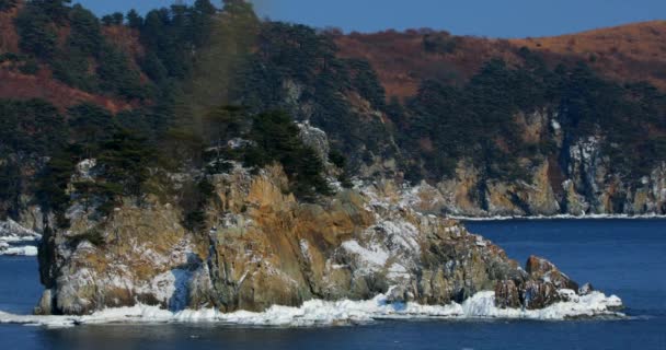 Ripresa Della Scogliera Dell Oceano Ripida Costa Rocciosa Riserva Marina — Video Stock