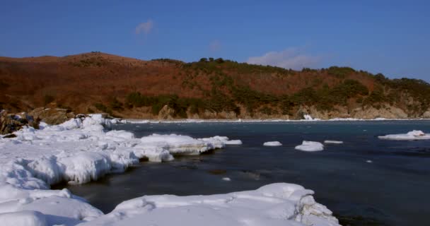 岩の多い海岸線 極東沿海地方の海洋保護区を急峻な海崖の撮影 — ストック動画