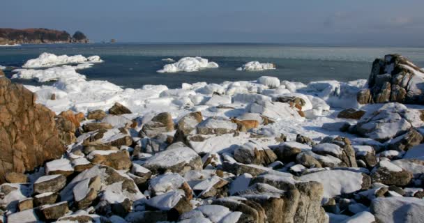 岩の多い海岸線 極東沿海地方の海洋保護区を急峻な海崖の撮影 — ストック動画
