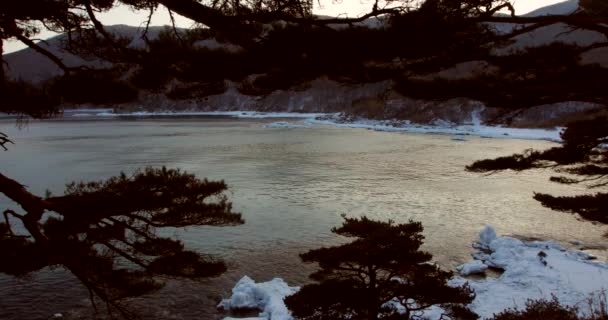拍摄海洋悬崖 陡峭的岩石海岸线 远东海洋保护区在滨海区符拉迪沃斯托克边疆区 — 图库视频影像