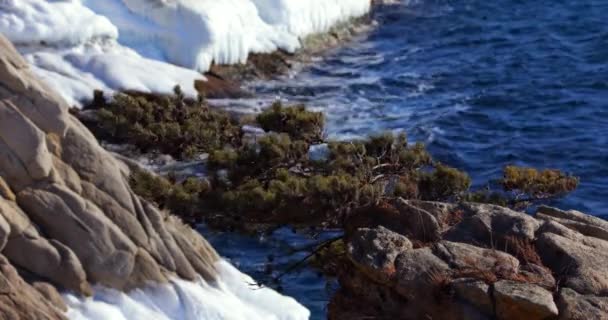 Strzelanie Klif Ocean Strome Skaliste Wybrzeże Far Eastern Rezerwat Morski — Wideo stockowe