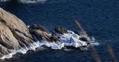 4k: okyanus cliff, çekim dik kayalık sahil şeridi, Uzak Doğu Marine Reserve Primorsky Krai içinde