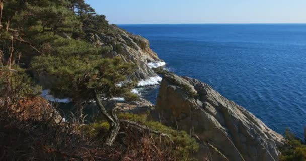 Schießen Auf Die Klippe Des Ozeans Steile Felsküste Fernöstliches Meeresschutzgebiet — Stockvideo