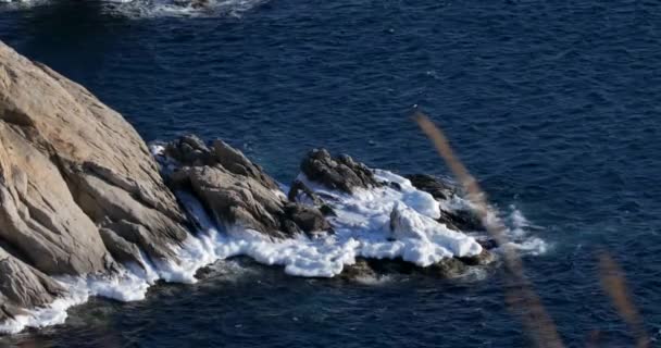 Střelba Oceánu Útes Strmé Skalnaté Pobřeží Far Eastern Mořské Rezervace — Stock video