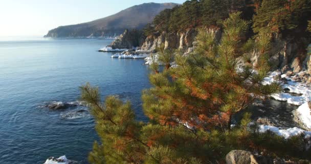 Skydning Ocean Cliff Stejl Klippekyst Fjernøsten Marine Reserve Primorsky Krai – Stock-video