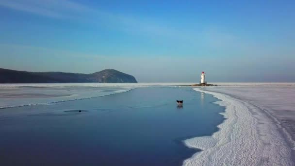 Vista Aérea Invierno Del Faro Tokarevskiy Uno Los Faros Más — Vídeo de stock