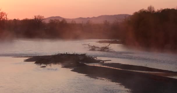 Ομίχλη Πρωί Για Τον Ποταμό Bikin Στο Οποίο Βρίσκεται Χωριό — Αρχείο Βίντεο