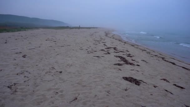 Egy Séta Ködös Üres Petrov Beach Öböl Lazói Tartalék Tengermelléki — Stock videók