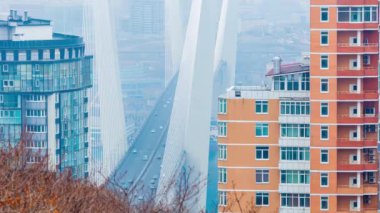 Altın Askılı köprü yol araç trafiği yukarıdan. Modern Vladivostok Rusya gece aydınlatma. Eski ve modern Merkez binalar. Hava uçuş 4k görüntüleri.
