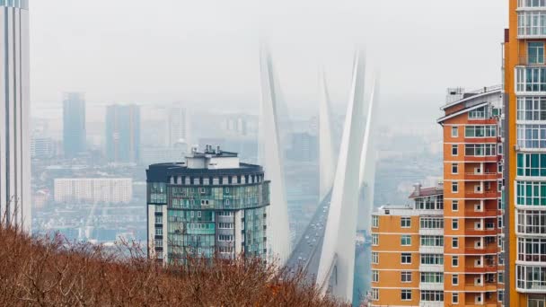 Pont Doré Haubans Circulation Routière Par Haut Moderne Vladivostok Russie — Video