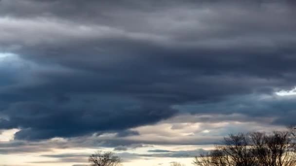 Timlaps Nuages Orageux Sur Des Arbres Chauves — Video