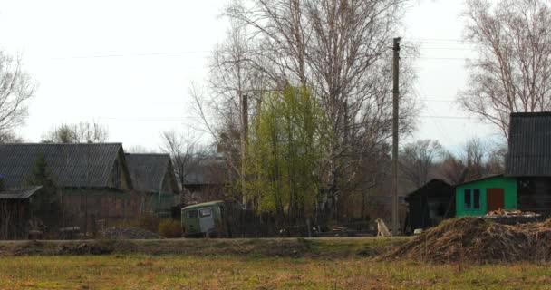 2018年5月 克拉斯尼 滨海区符拉迪沃斯托克边疆区 北部的小和土著人民偏僻的村庄 Udege 传统的生活方式 真实性 — 图库视频影像