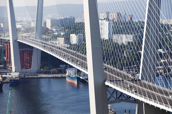 Altın Askılı köprü yol araç trafiği yukarıdan. Modern Vladivostok Rusya gece aydınlatma. Eski ve modern Merkez binaları.
