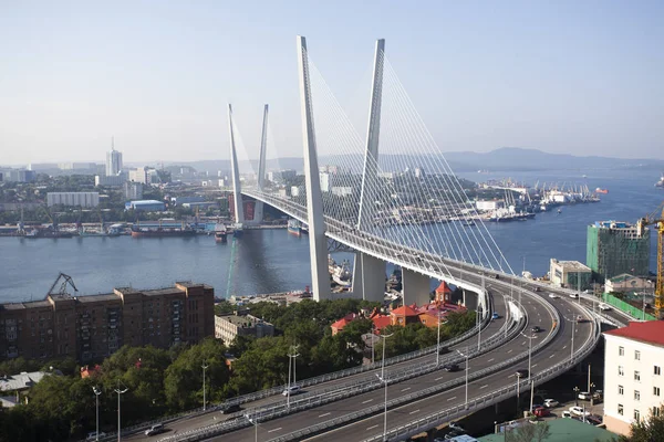 Altın Askılı köprü yol araç trafiği yukarıdan. Modern Vladivostok Rusya gece aydınlatma. Eski ve modern Merkez binaları.