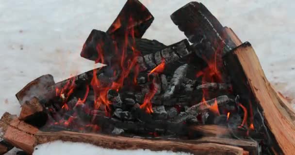 화재에는 마을의 Yar 모르스키 크라이에 Udege 명예에 Kchaini 러시아어로 번역에서 — 비디오