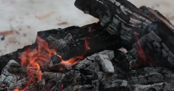 Kurban Ateş Içinde Köyü Krasny Yar Içinde Primorsky Krai Udege — Stok video