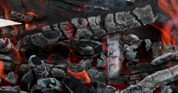Жертвенный Пожар Селе Красный Приморского Края Честь Удегского Праздника Kchaini — стоковое видео