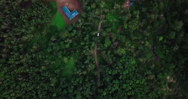 Fliegen Über Die Hütten Die Einem Dichten Grünen Wald Liegen — Stockvideo