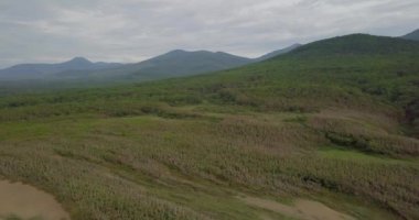 1935 yılında kurulan nesli tehlike altında olan Sibirya kaplanı için sonsuz yeşil ormanları Sikhote-Alin tabiatı Rusya yukarıda uçan. Hava. Dağlar üzerinde arka plan vardır. Akşam