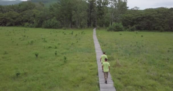 Flygande Baklänges Norra Träden Ovanför Trä Turistiska Väg Uppskattad Naturreservat — Stockvideo