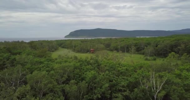 1935 年に設立された絶滅危惧種のアムールトラの無限緑ロシア シホテ アリン自然保護区の上飛んでいます 山が背景に — ストック動画