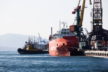Vladivostok Haliç koyda donmuş su alanında Nisan, 2013, Vladivostok - gemi