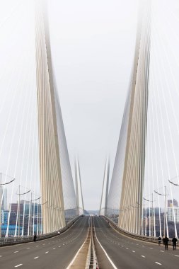 Altın Askılı köprü yol araç trafiği yukarıdan. Modern Vladivostok Rusya gece aydınlatma. Eski ve modern Merkez binaları.