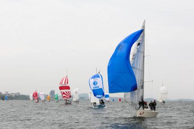 Haziran, 2013 - Vladivostok, Primorye bölge - yelken yarışmaları Amur Körfezi su alanında. Yelkenli Yatlar ilk etapta Vladivostok şehirde rekabet