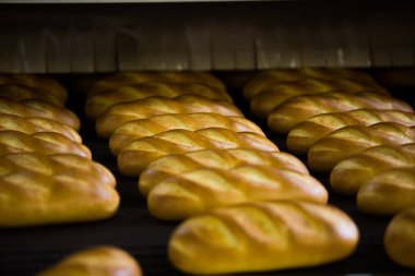 Ekmek üretim hattı. Beyaz hamur sopa hatta pişmiş olan.