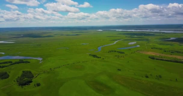 Voo Sobre Quadricóptero Sobre Prado Verde Sobre Planícies Com Árvores — Vídeo de Stock