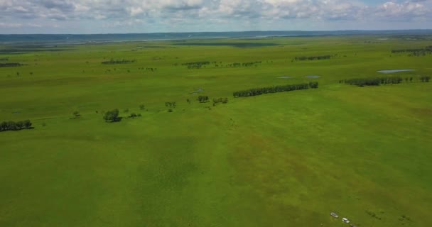 Let Nad Kvadrokoptéra Přes Zelenou Louku Přes Pláně Vzácnými Stromy — Stock video