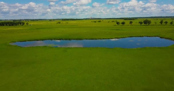 Volo Sul Quadricottero Prato Verde Con Lago Sulle Pianure Con — Video Stock