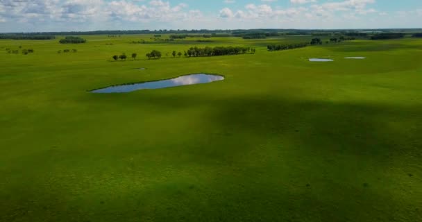 Vlucht Quadcopter Een Groene Weide Met Een Vijver Vlakte Met — Stockvideo