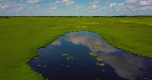 Vlucht Quadcopter Een Groene Weide Met Een Vijver Vlakte Met — Stockvideo