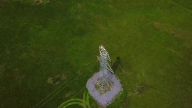 Bir kuş bakışı - bir elektrik iletim hattı yüksek dikmesi üzerinde piliçle uzak doğu leylek yuvası çekim. Uzak Doğu leylek - nadir kırmızı kitap kuş