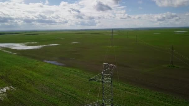 鳥の目のビュー 送電線高鉄塔で雛と極東のコウノトリの巣から撮影 極東コウノトリ 珍しい赤い本鳥 — ストック動画