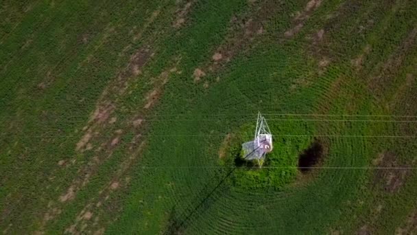 Disparo Desde Vista Pájaro Nido Una Cigüeña Del Lejano Oriente — Vídeos de Stock