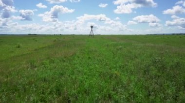 Yeşil çayır ortasında bir yapay ahşap desteği yüklü kırmızı nadir nadir kuş - uzak doğu leylek yuvası
