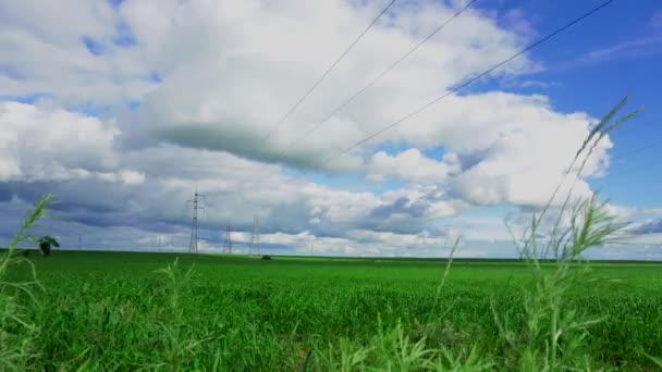 宽敞的场地 种植大豆和电线 — 图库视频影像
