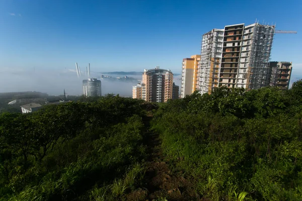 Tuman Cidade Vladivostok Pilões Das Pontes Russas Douradas Escondidas Nevoeiro — Fotografia de Stock