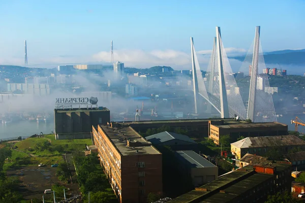 Tuman Cidade Vladivostok Pilões Das Pontes Russas Douradas Escondidas Nevoeiro — Fotografia de Stock