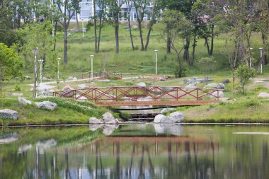 Ağustos, 2013 - Vladivostok, Rusya Federasyonu - Uzak Doğu Federal Üniversitesi Rus Adası üzerinde